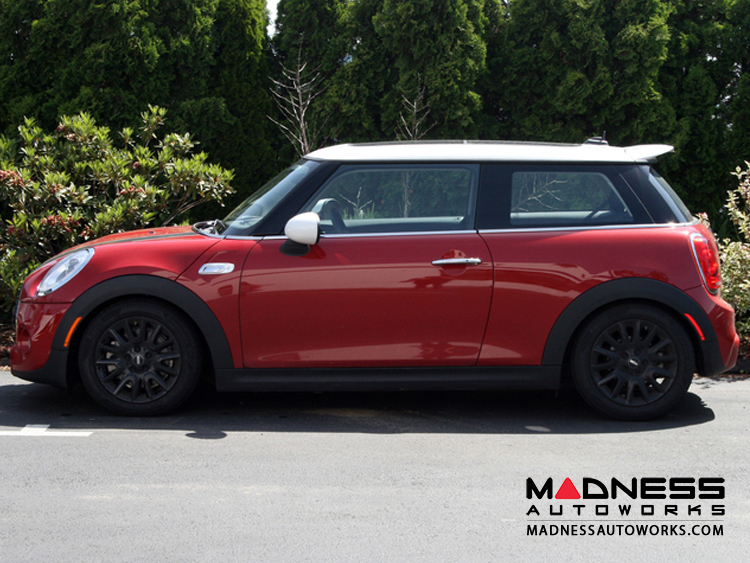 Mini Cooper Performance Lowering Springs by Craven Speed